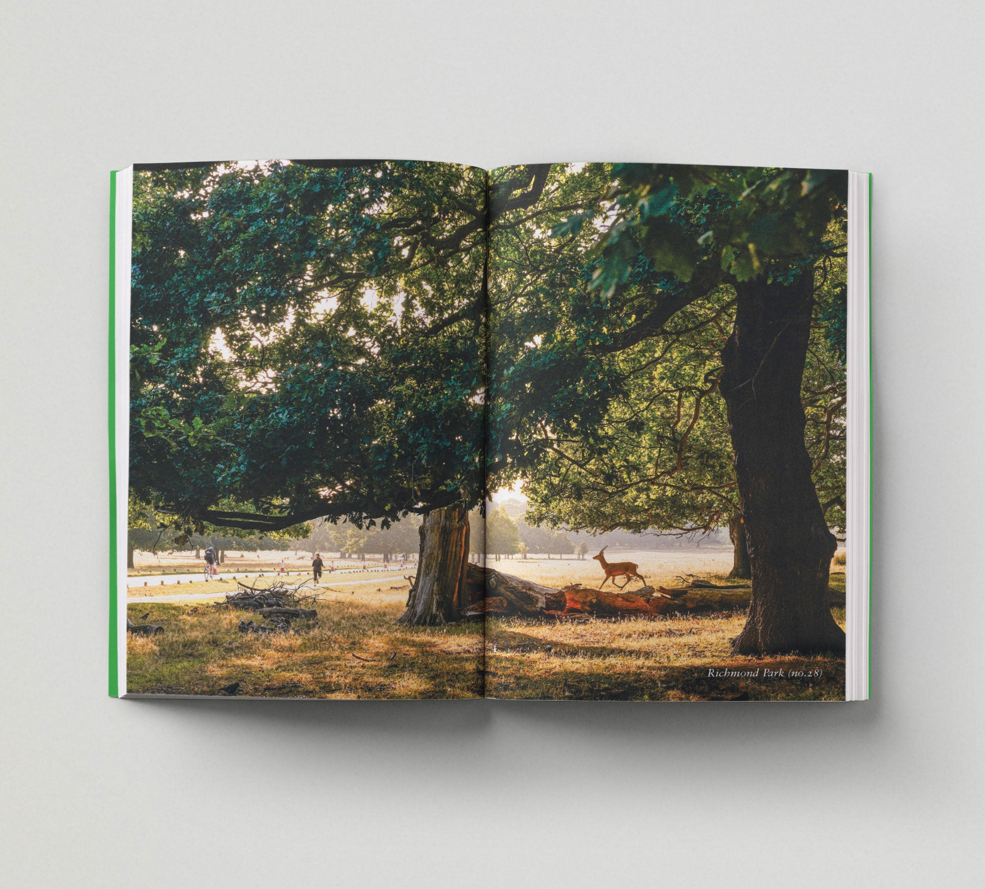Best London Green Spaces Guide - Top Parks & Gardens for Relaxation & Outdoor Activities | Explore Nature in London