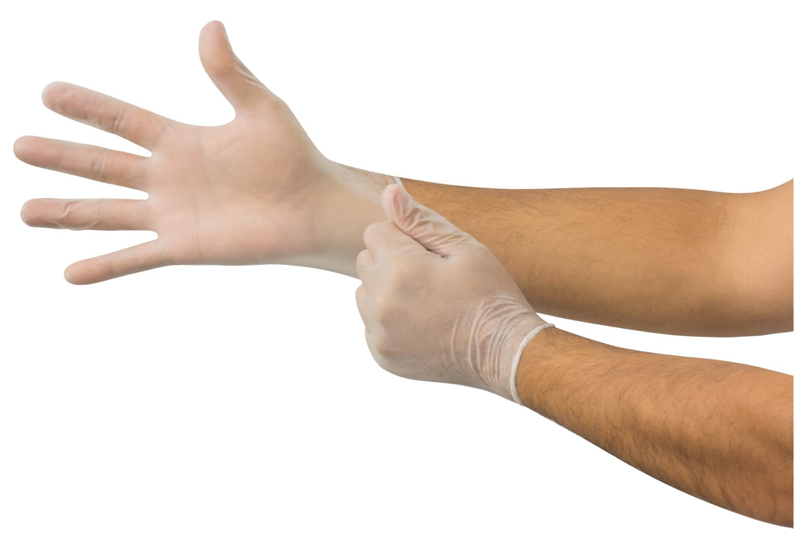 MICROFLEX V28 Powder-Free Disposable Vinyl Gloves - Food Safe, Latex-Free for Food Handling, Light Cleaning & Kitchen Use (300 Count) - Smooth Surface for Comfort & Dexterity