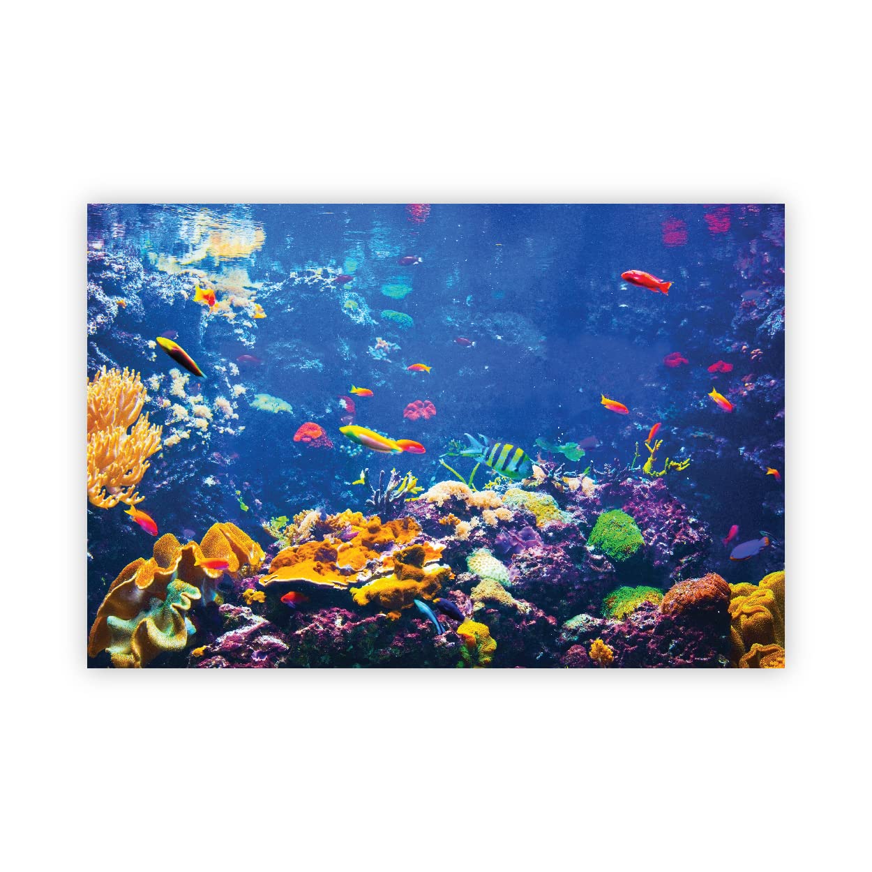 VVWV® Fish World Aquarium Background Stickers - Waterproof Vinyl Printed Decals for Fish Tanks (76x30cm) - Perfect for Freshwater & Saltwater Aquariums, Home & Office Decor