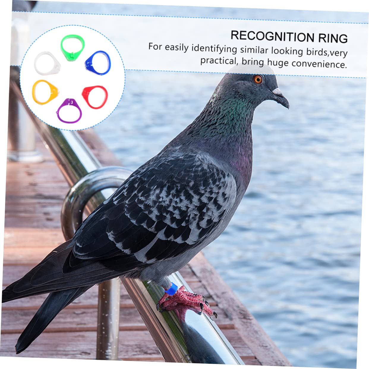 YARNOW 100pcs Plastic Pigeon Foot Rings - Bird Leg Bands for Parrots, Chickens, Doves & Parakeets - Clip-On Leg Rings for Easy Identification & Tracking - Perfect for Poultry Farming, Bird Shows & Pet Owners