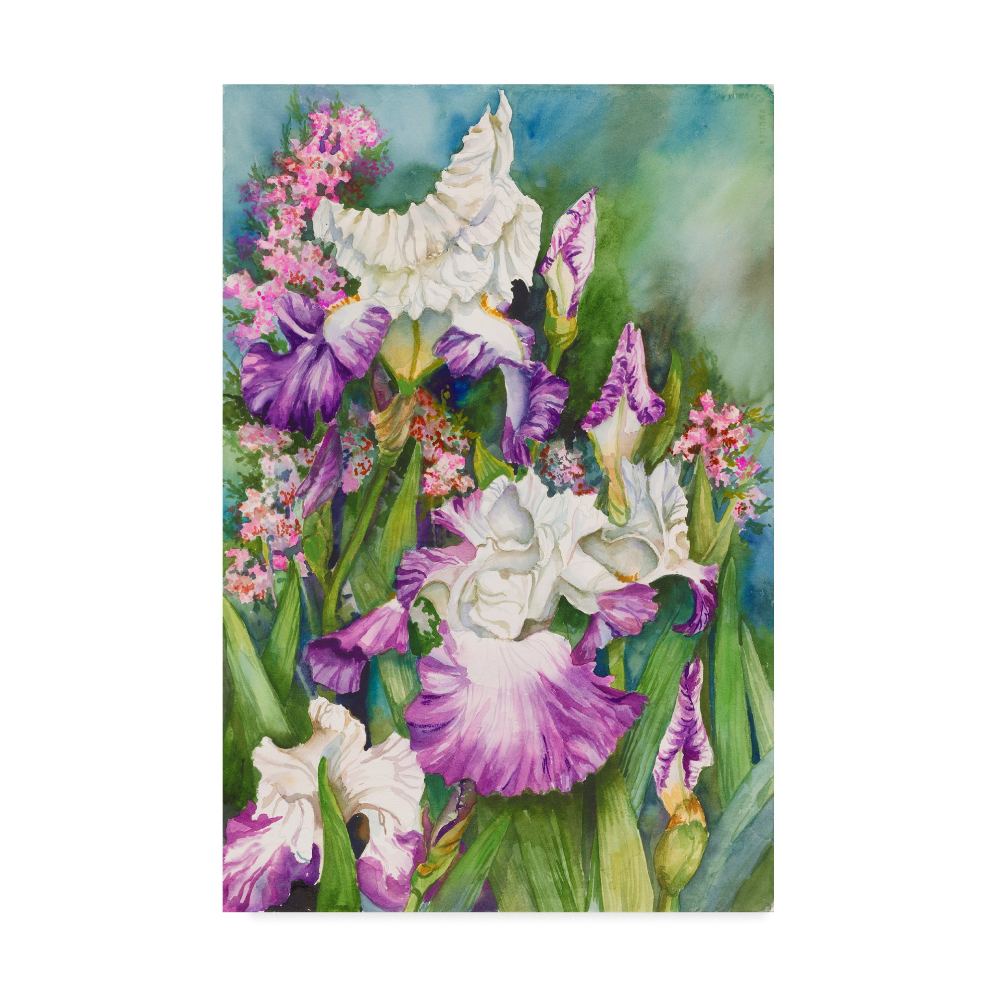 Iris Garden by Joanne Porter - 30x47 Inch Floral Canvas Wall Art - Perfect for Living Room, Bedroom & Office Decor