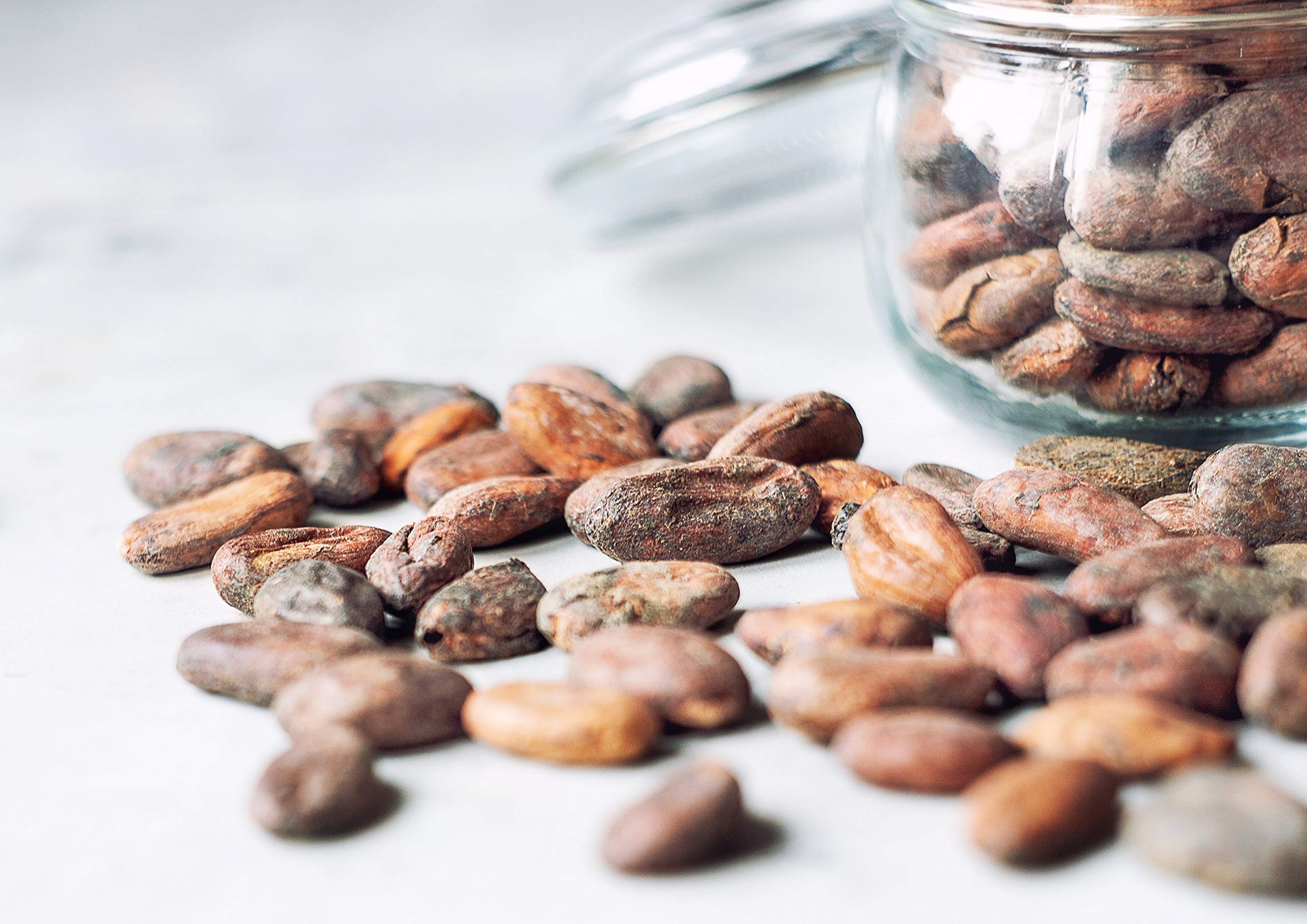 Organic Cacao Beans 14 lbs - Non-GMO, Keto, Vegan, Bulk Dry Cacao Nibs | High in Fiber, Copper, Manganese, Magnesium, Zinc & Polyphenols | Perfect for Chocolate Making, Baking, Smoothies & Sirtfood Diet | Premium Raw Cocoa Beans for Healthy Snacks & Desserts