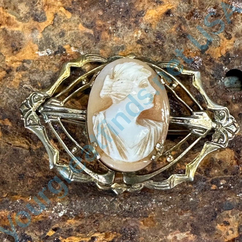 Vintage Art Deco Era Carved Shell Cameo Pin Brooch - Antique Jewelry for Women, Elegant Collectible Accessory for Parties, Weddings & Special Occasions