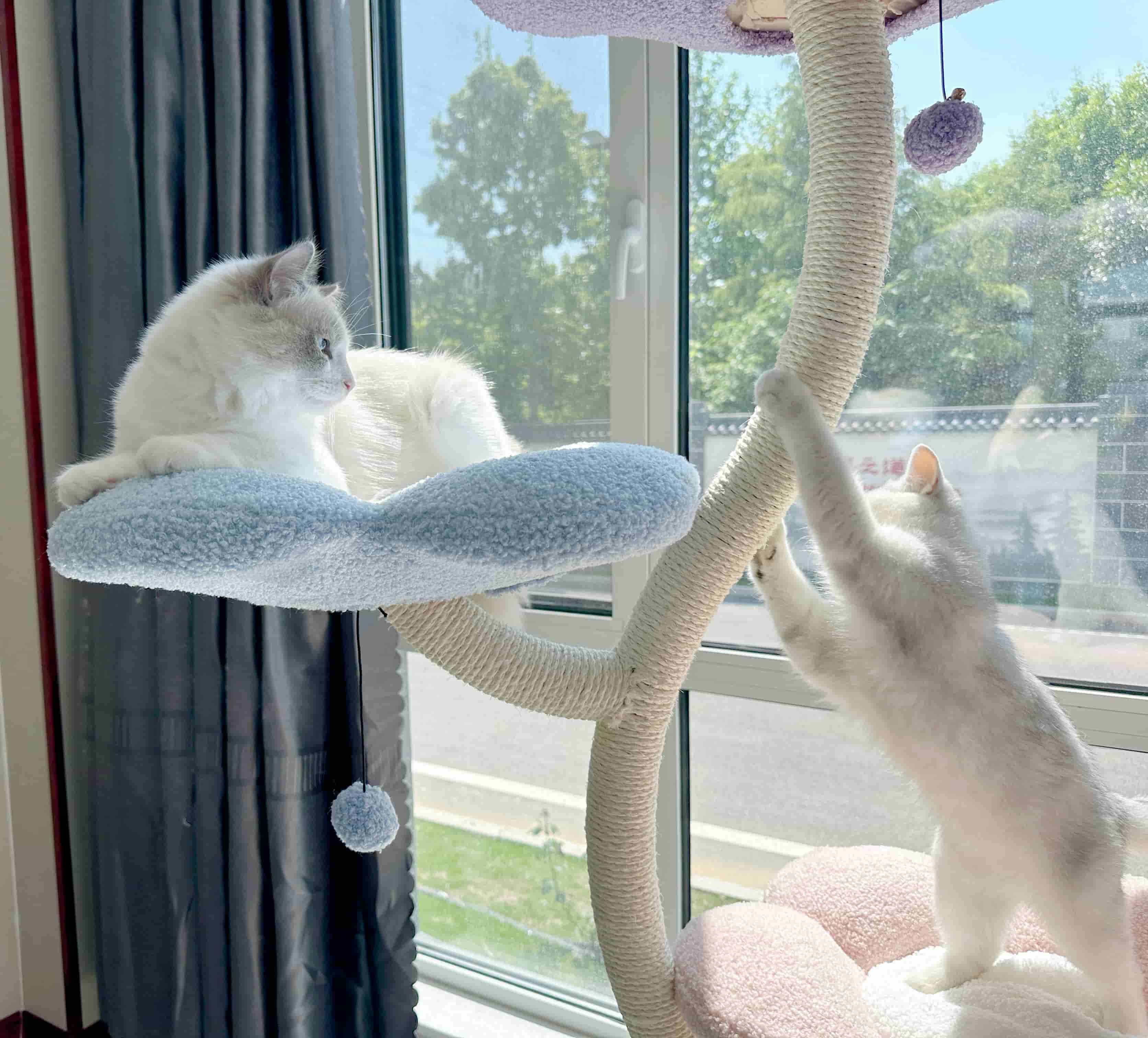 186cm Extra Tall Cat Tree with Floral Design - Sturdy Scratching Post & Perch for Large Cats, Multi-Level Playhouse for Indoor Cats, Perfect for Living Room or Bedroom