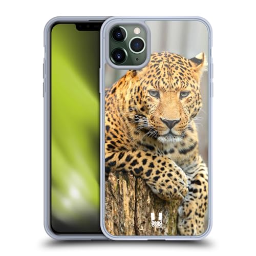 Leopard Portrait