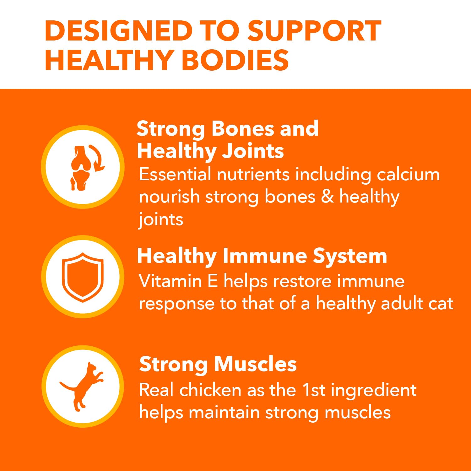 IAMS PROACTIVE HEALTH Adult Dry Cat Food for Senior Cats - Chicken Recipe, 16lb Bag | Supports Joint Health & Digestion for Aging Cats - Perfect for Indoor Senior Cats & Mature Feline Nutrition