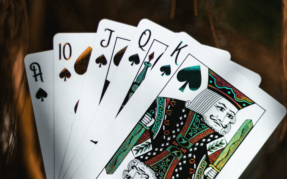 Premium Red Marvelous Hummingbird Feathers Playing Cards - Elegant Deck for Poker, Magic Tricks & Collectors | Perfect for Game Nights, Gifts & Cardistry