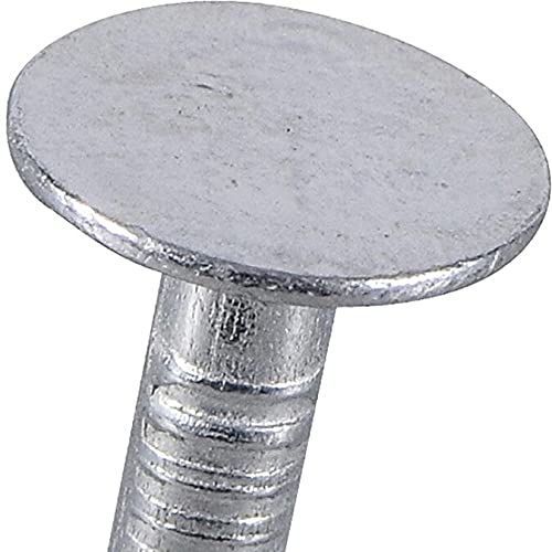 2-Inch Electro-Galvanized Roofing Nails - 5lb Box for Roofing Projects, Shingle Installation & Construction Work