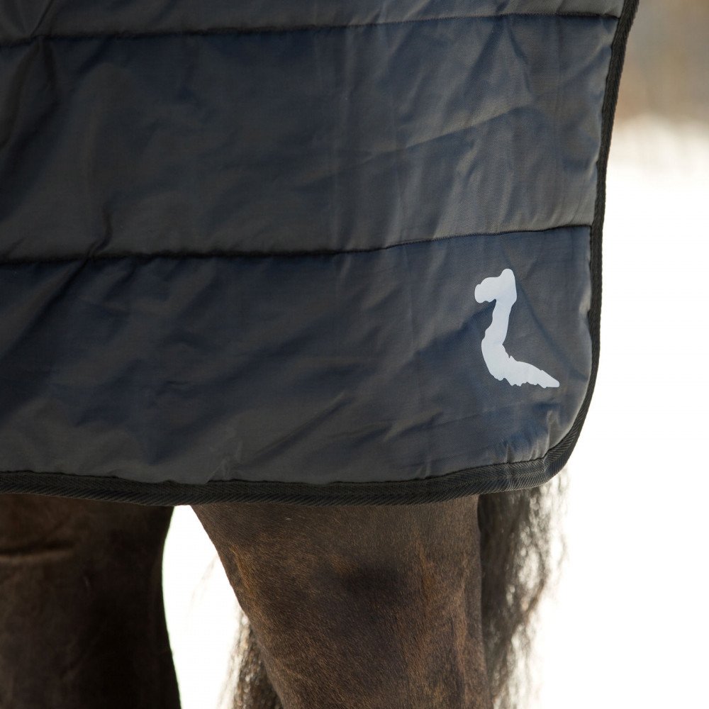 HORZE Nevada Medium Weight Stable Blanket 200g - Warm Horse Blanket for Winter & Turnout | Ideal for Cold Weather Riding & Stable Use