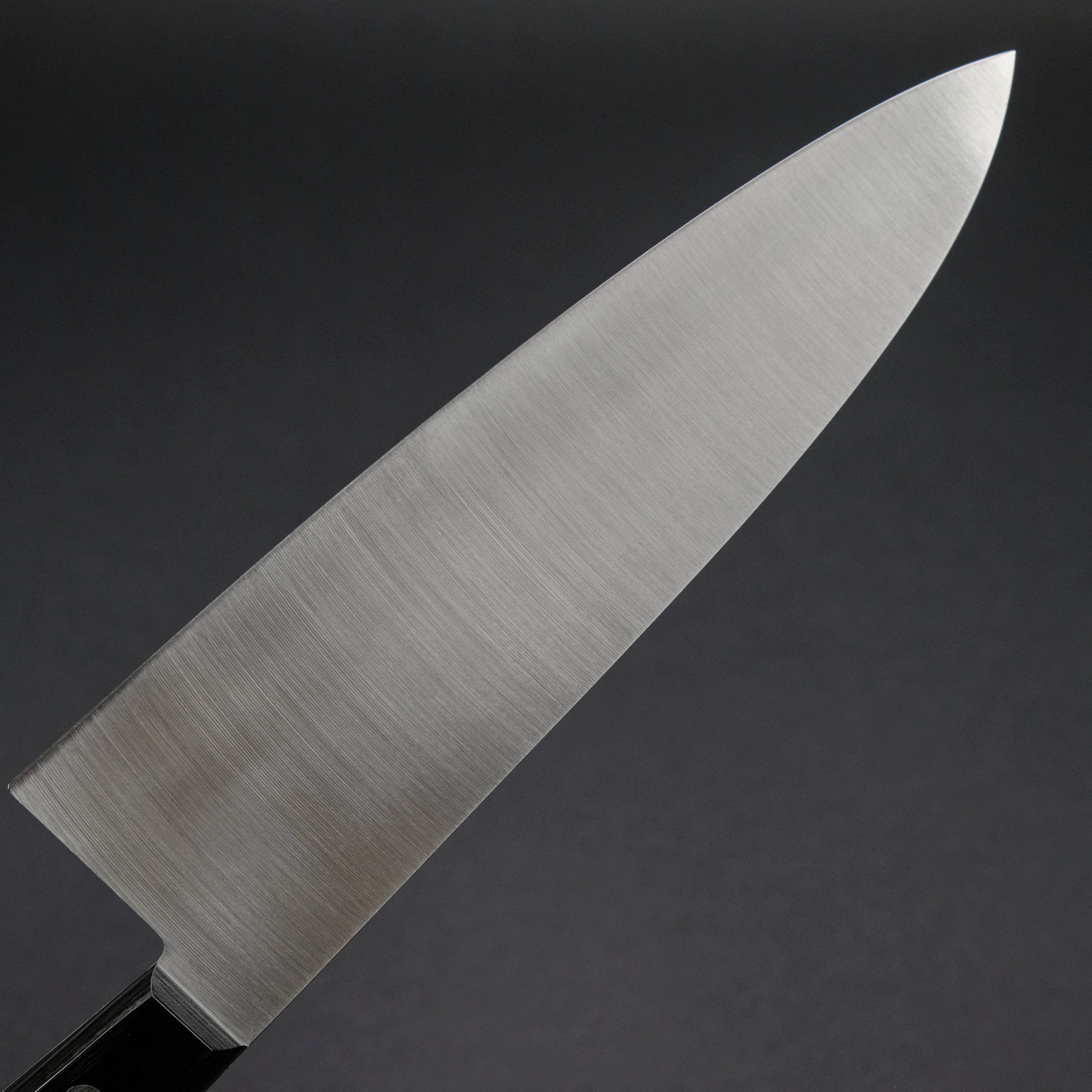 Hitohira Hiragana Deba 210mm Japanese Kitchen Knife - Pakka Wood Handle, No Bolster - Perfect for Sushi, Fish Filleting & Meat Cutting