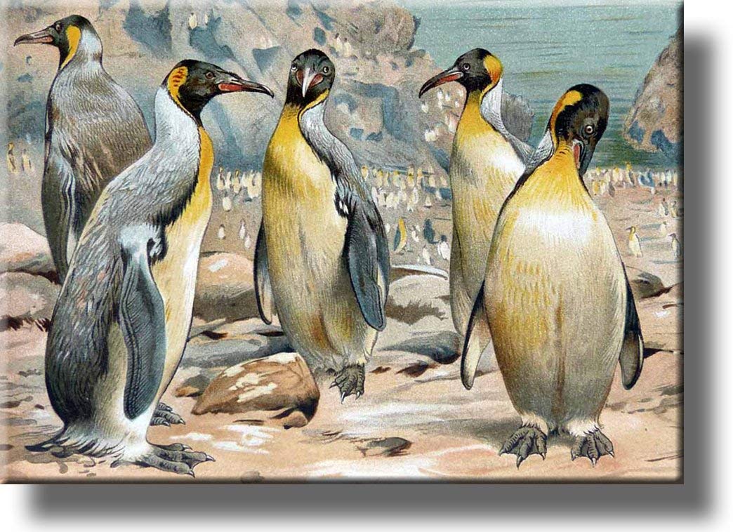 King Penguins Painting on Stretched Canvas - Premium Wall Art Decor Ready to Hang - Perfect for Living Room, Bedroom & Office Decorations