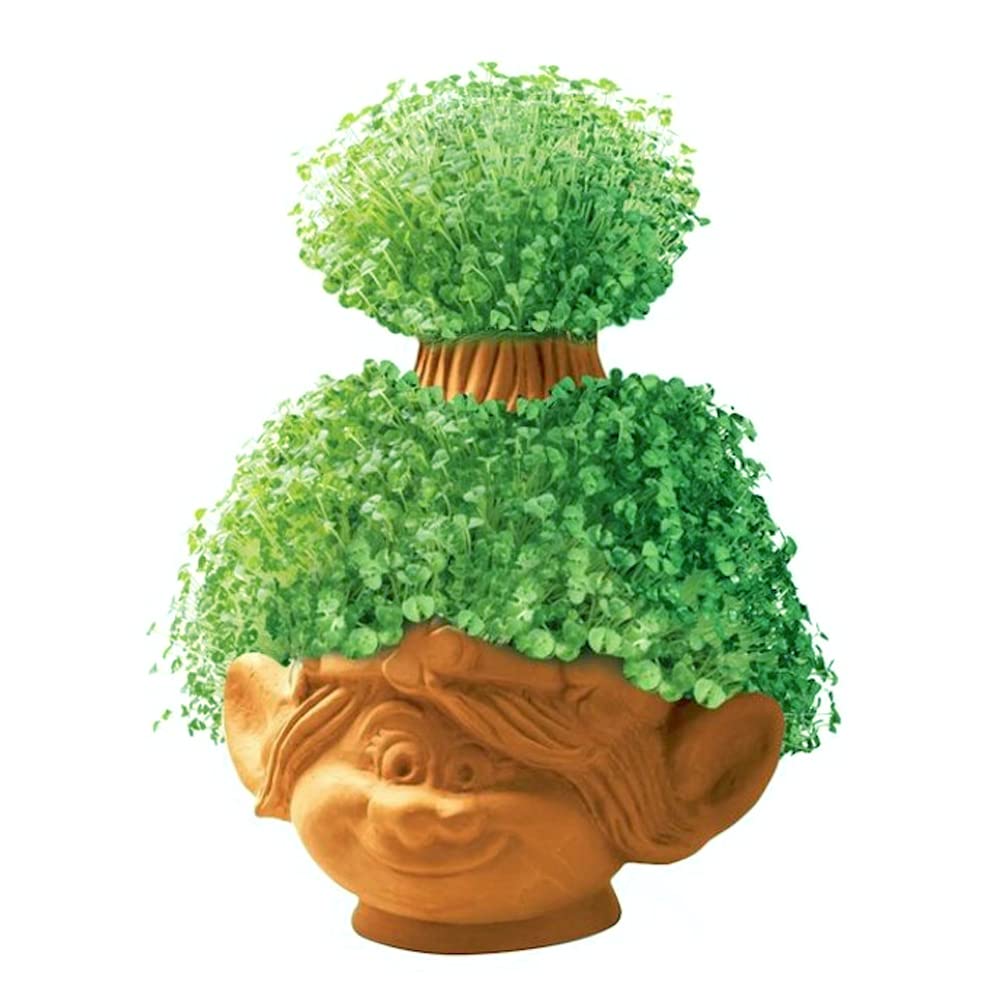 Chia Pet Planter - Trolls World Tour Poppy Flower Seed Kit for Indoor Gardening | Fun DIY Home Decor Gift for Kids & Adults