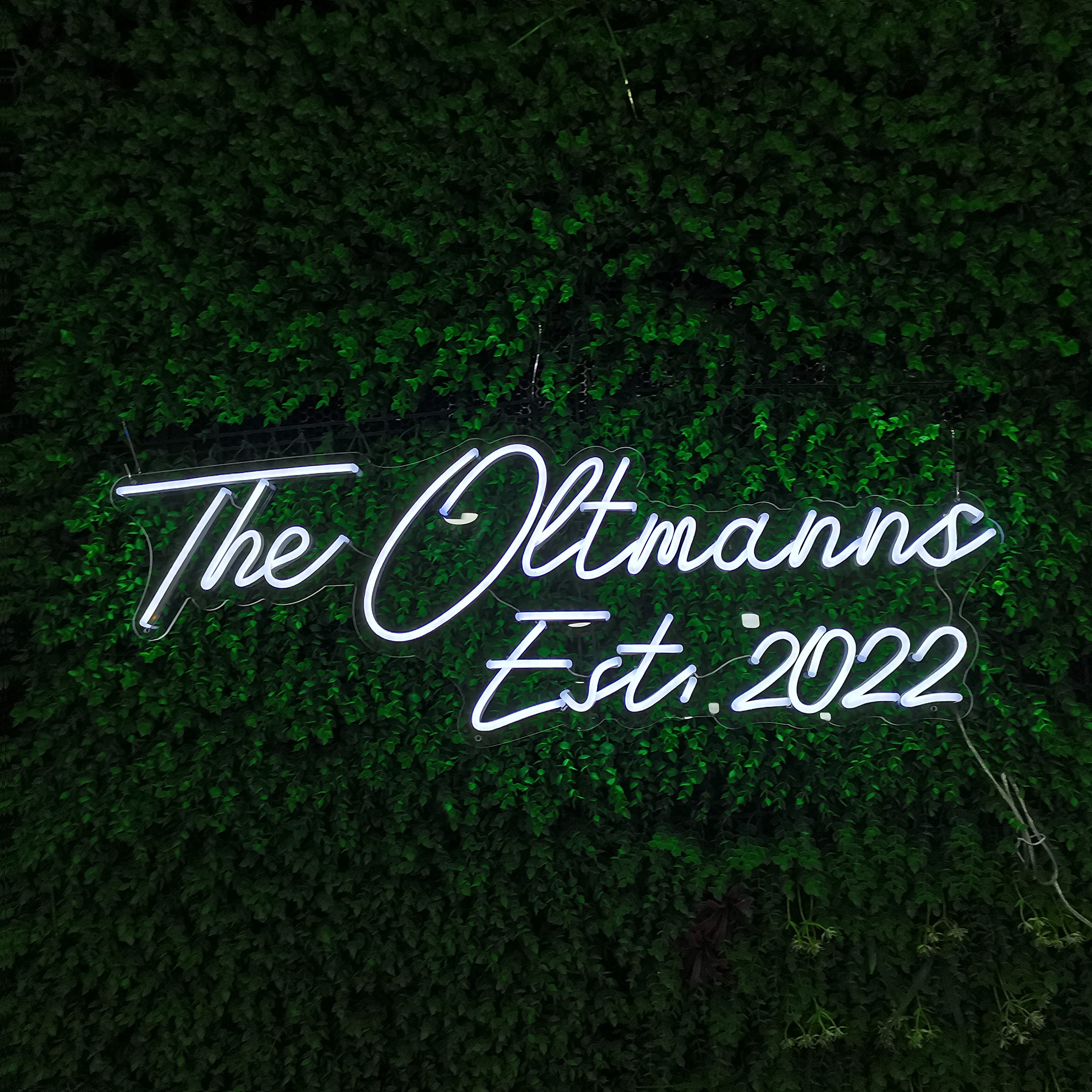 Custom Neon Sign - Personalized Large LED Neon Light for Bedroom, Wedding, Birthday Party, Prom, Home, Shop, Bar Decor - Wall Art Gift with 2 Lines Text (25 Inches) - Perfect for Home Decor, Business Signs & Special Occasions