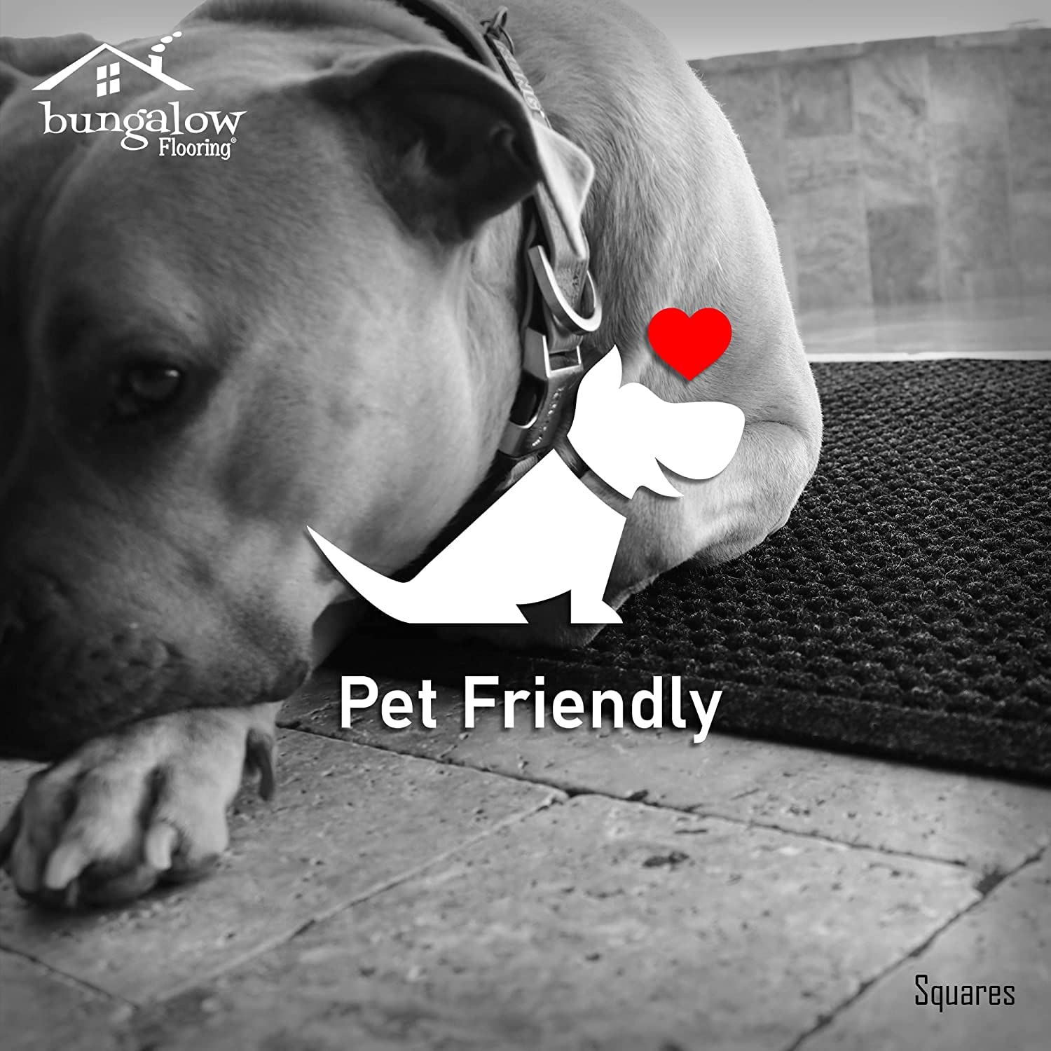 Bungalow Flooring Waterhog Paws and Bones Personalized Pet Doormat - 2x3 Feet Non-Slip Indoor/Outdoor Entry Mat - Made in USA - Dark Brown - Traps Water, Mud & Pet Hair - Perfect for Front Door, Backyard & Pet Areas