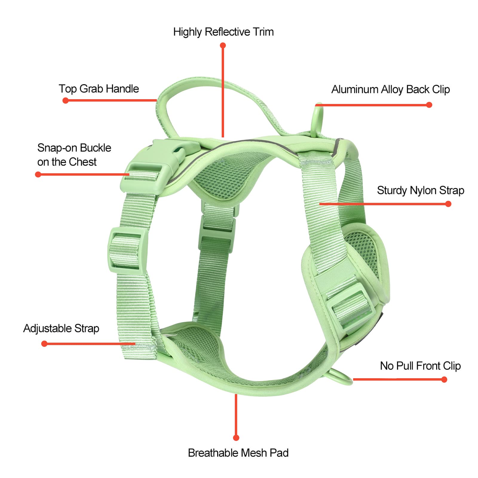 Petmolico Small Dog Harness - Cute Reflective Puppy Vest with 2 Leash Clips & Soft Handle for Easy Walking (Mint Green, Small) | Perfect for Daily Walks, Training & Outdoor Adventures