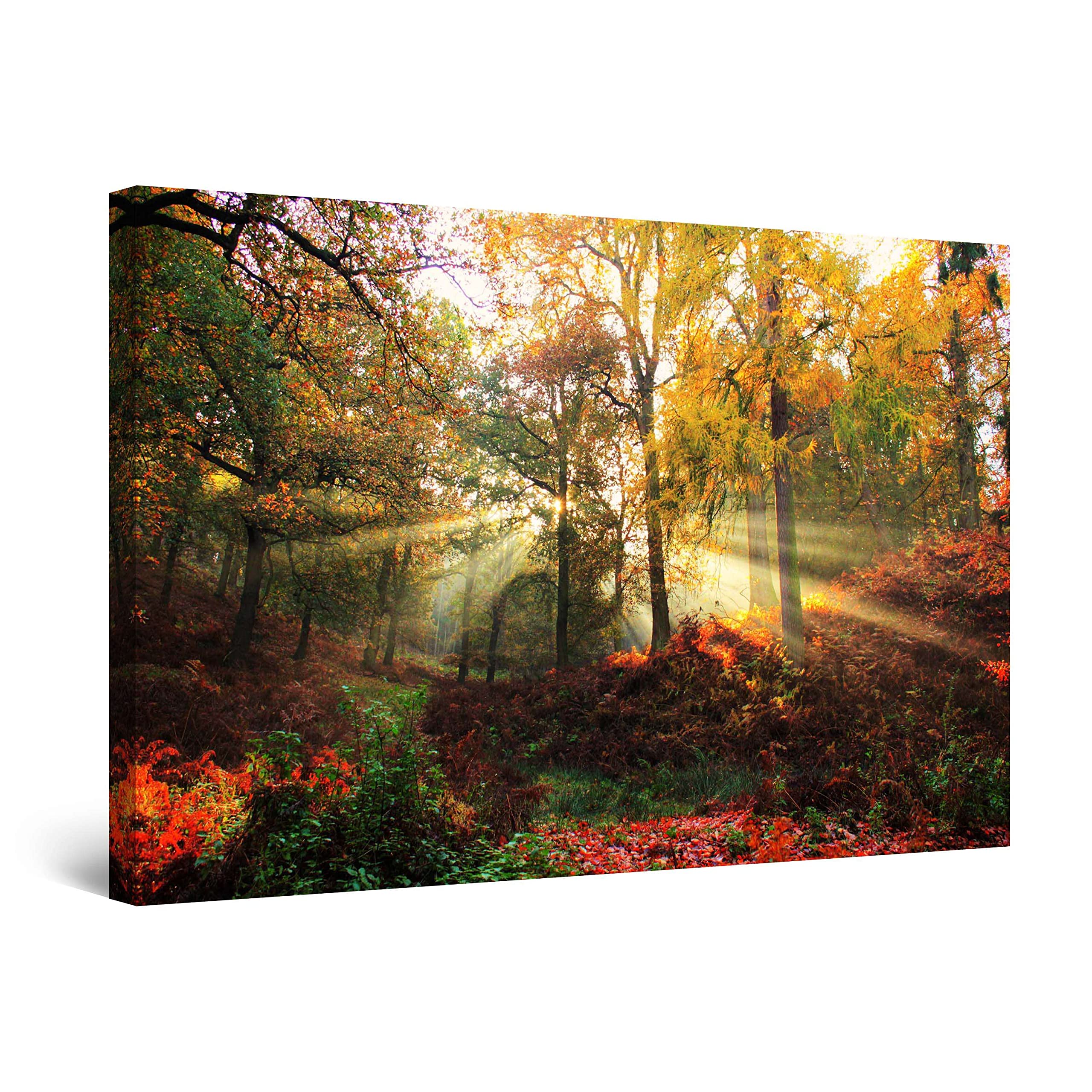 Startonight Autumn Sun Rays Canvas Wall Art - 32x48 Inch Modern Stretched Print for Bedroom & Living Room Decor | Unique Luminous Day & Night Effect Painting | Ready to Hang Home Wall Decor for Cozy Fall Atmosphere