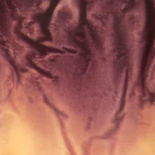 Suntan/Burgundy