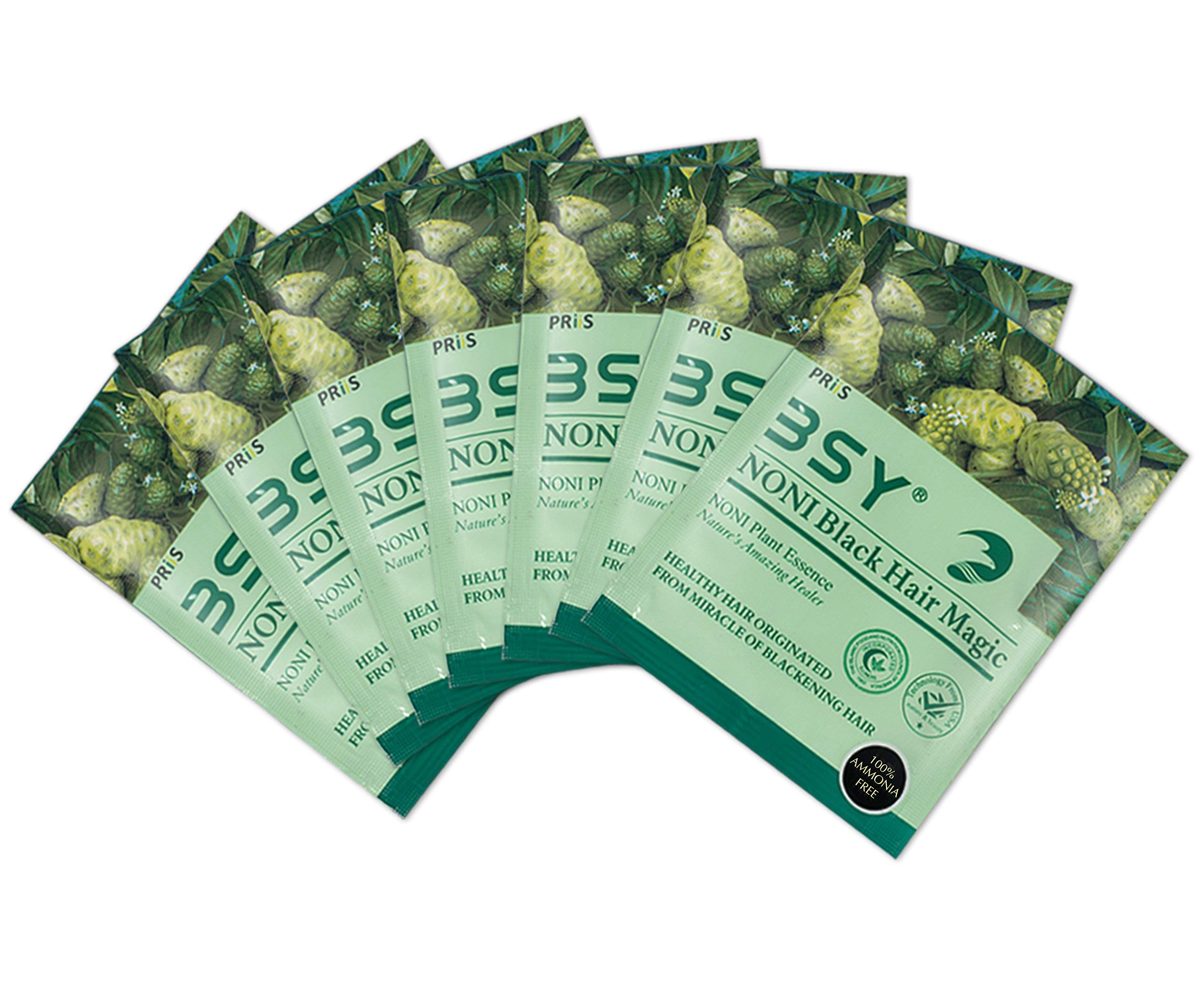 BSY Noni Black Hair Magic Shampoo - Ammonia Free Permanent Hair Dye (20ml x 6 Sachets) | Natural Black Hair Color for Men & Women | Quick 5-Minute Hair Coloring with Noni Fruit Extract | Perfect for Home Use, Travel & Touch-Ups