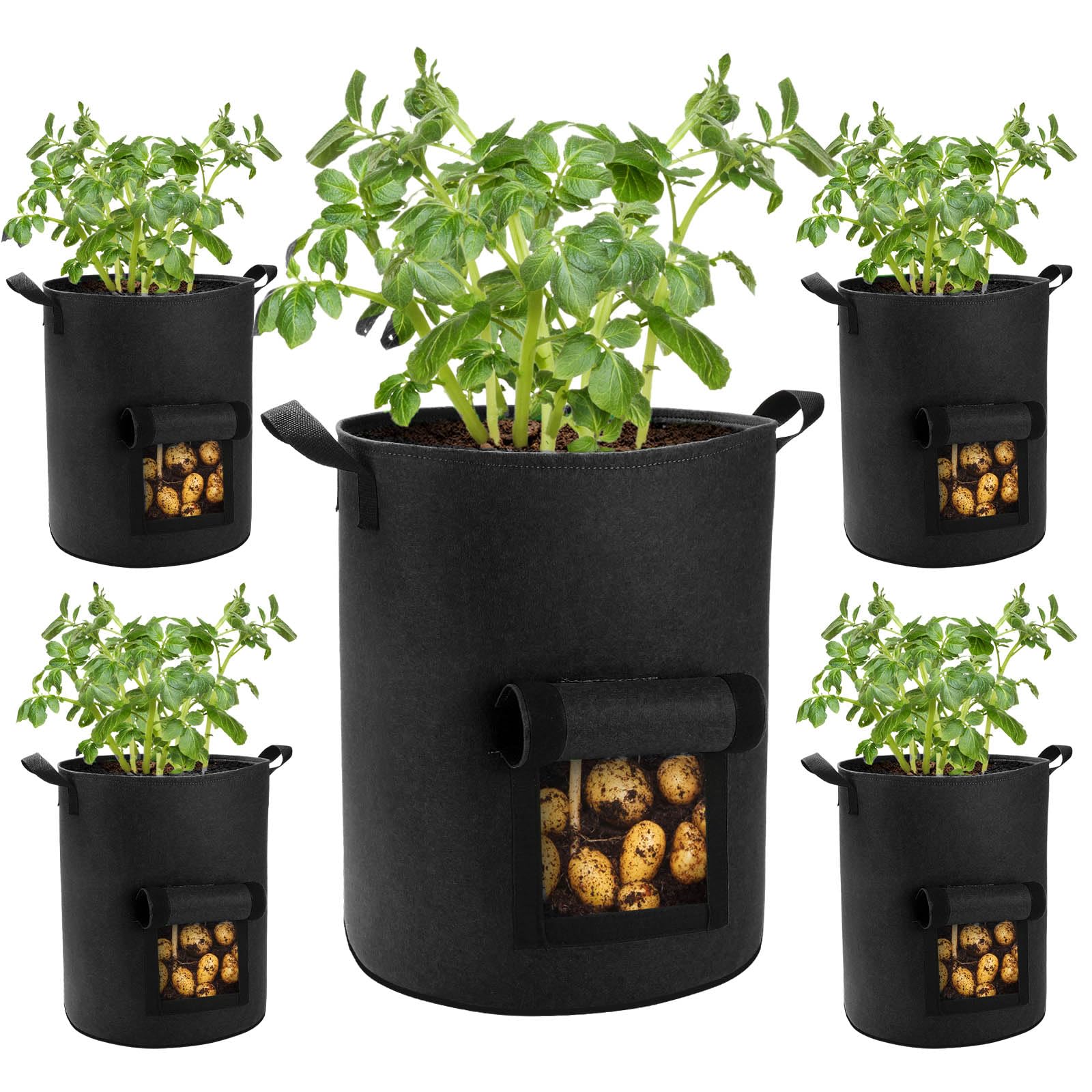 5 Pack 10 Gallon Heavy Duty Potato Grow Bags with Flap & Handles - Fabric Planting Pots for Potatoes, Carrots, Taro - Perfect for Home Gardening, Balcony & Indoor Vegetable Cultivation