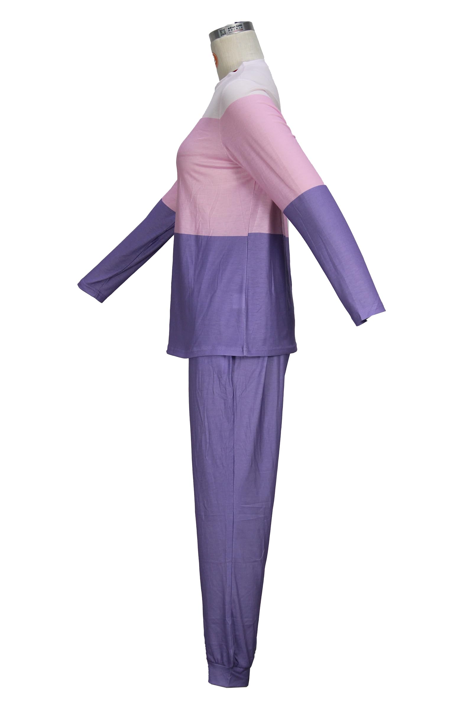 Women's 2024 Fall Color Block Sweatsuit Set - 2 Piece Crewneck Pullover & Sweatpants Tracksuit | Casual Outfit for Lounge, Workout & Streetwear Fashion