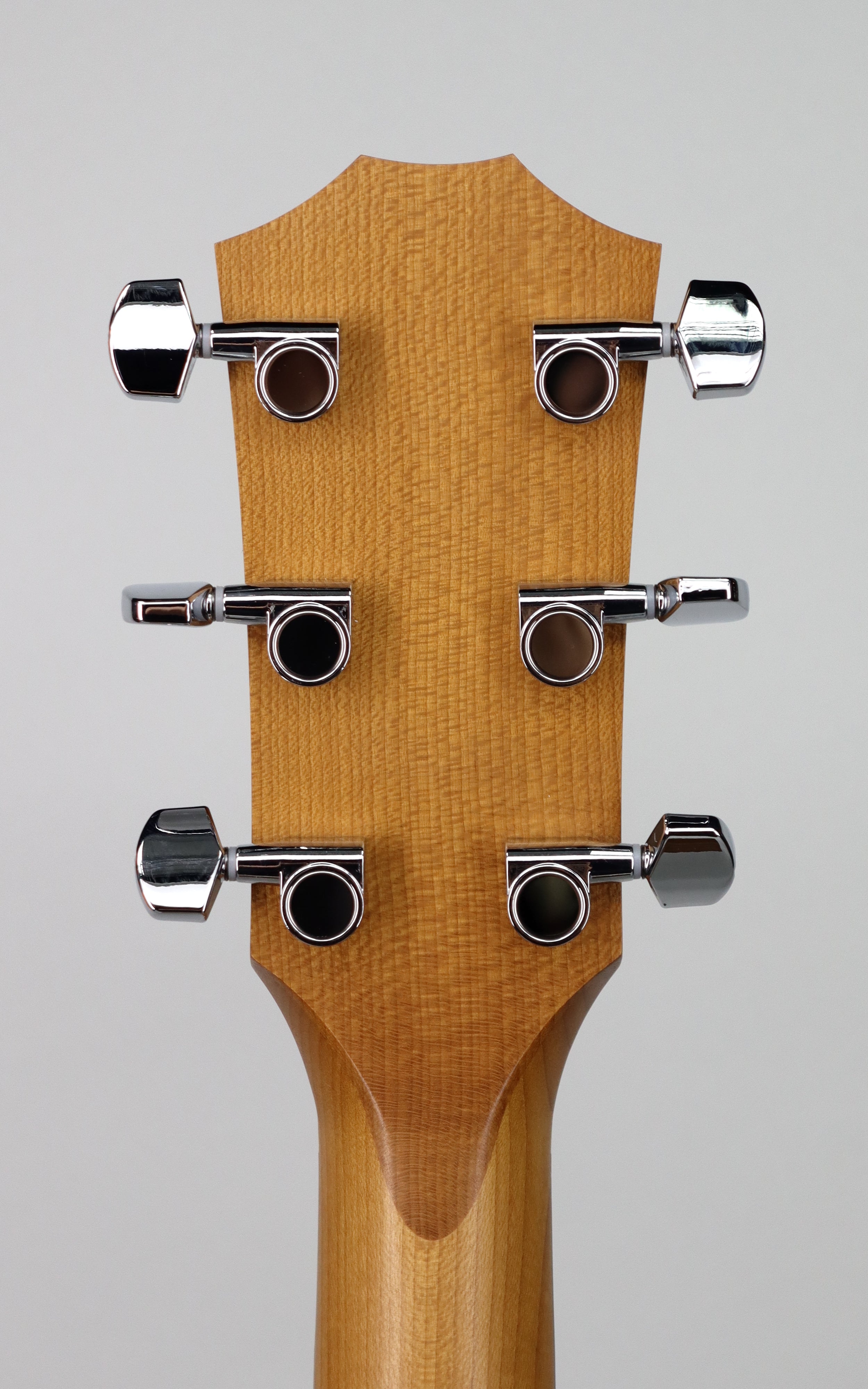 Taylor Academy A22E Acoustic-Electric Guitar - Professional Quality for Beginners & Intermediate Players | Perfect for Home Practice, Live Performances & Studio Recording