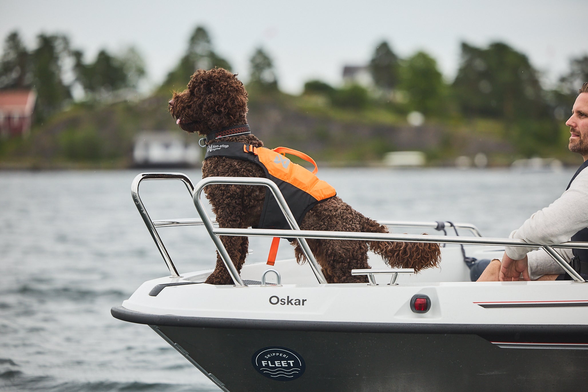 Non Stop Dog Wear: Dog Life Jacket for Swimming, Boating & Water Safety - High Visibility Pet Floatation Vest for Small, Medium & Large Breeds - Perfect for Beach, Pool & Outdoor Water Adventures