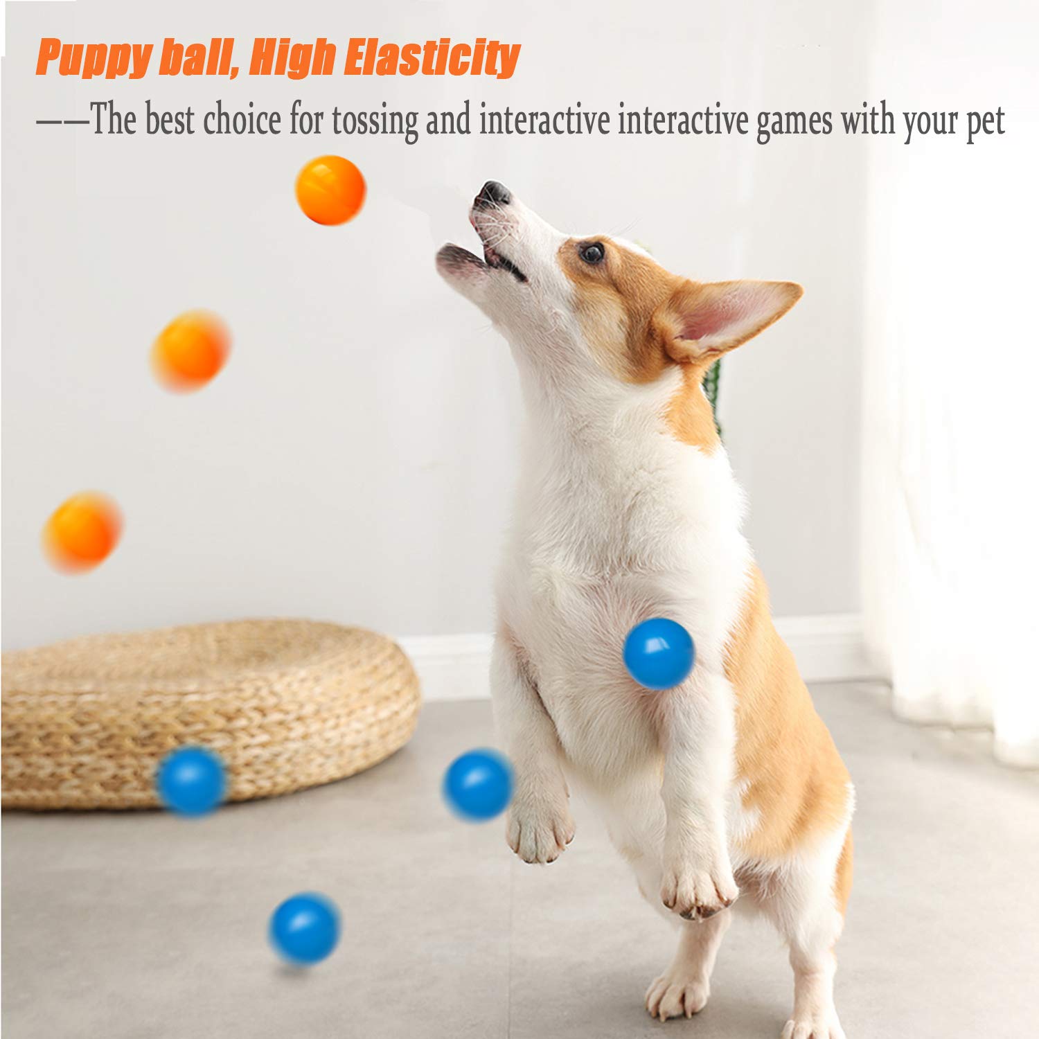 Durable Puppy Chew Toys - Safe Rubber Balls for Teething Dogs | Fetch & Play