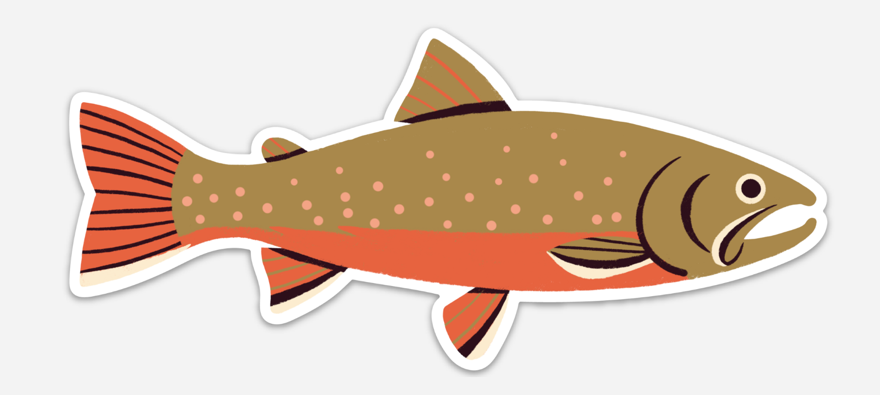 Native Trout Sticker - Waterproof Vinyl Decal for Fishing Gear, Coolers & Outdoor Equipment - Perfect for Anglers & Nature Lovers