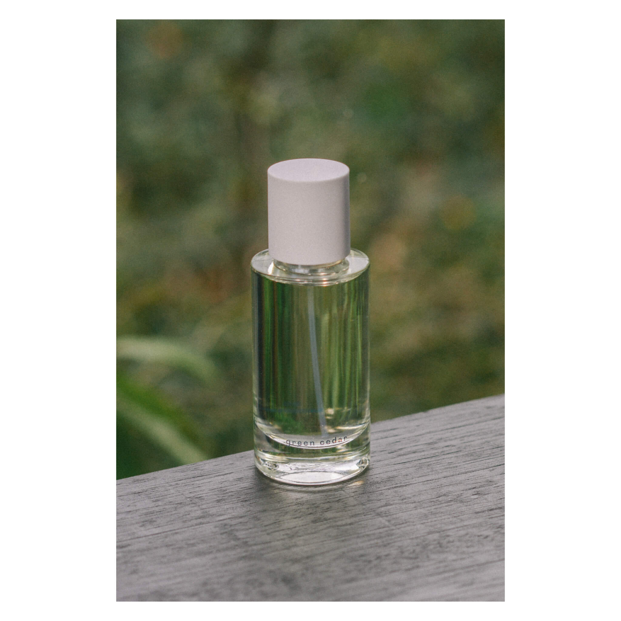 Premium Green Cedar Eau de Parfum for Men & Women - Long-Lasting Woody Fragrance for Daily Wear, Date Nights & Special Occasions