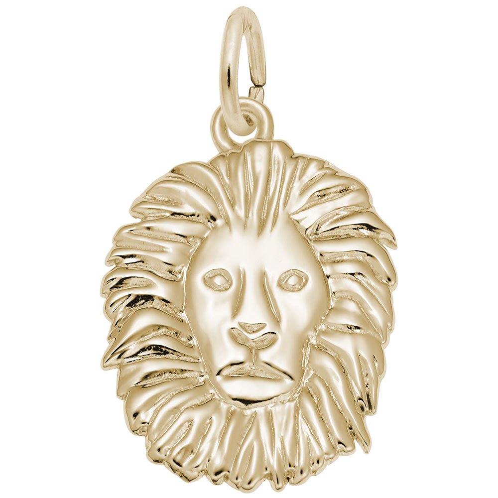 Lion Charm Pendant for Bracelets & Necklaces - Elegant Jewelry for Women & Men - Perfect for Gifts, Fashion Accessories, and Everyday Wear
