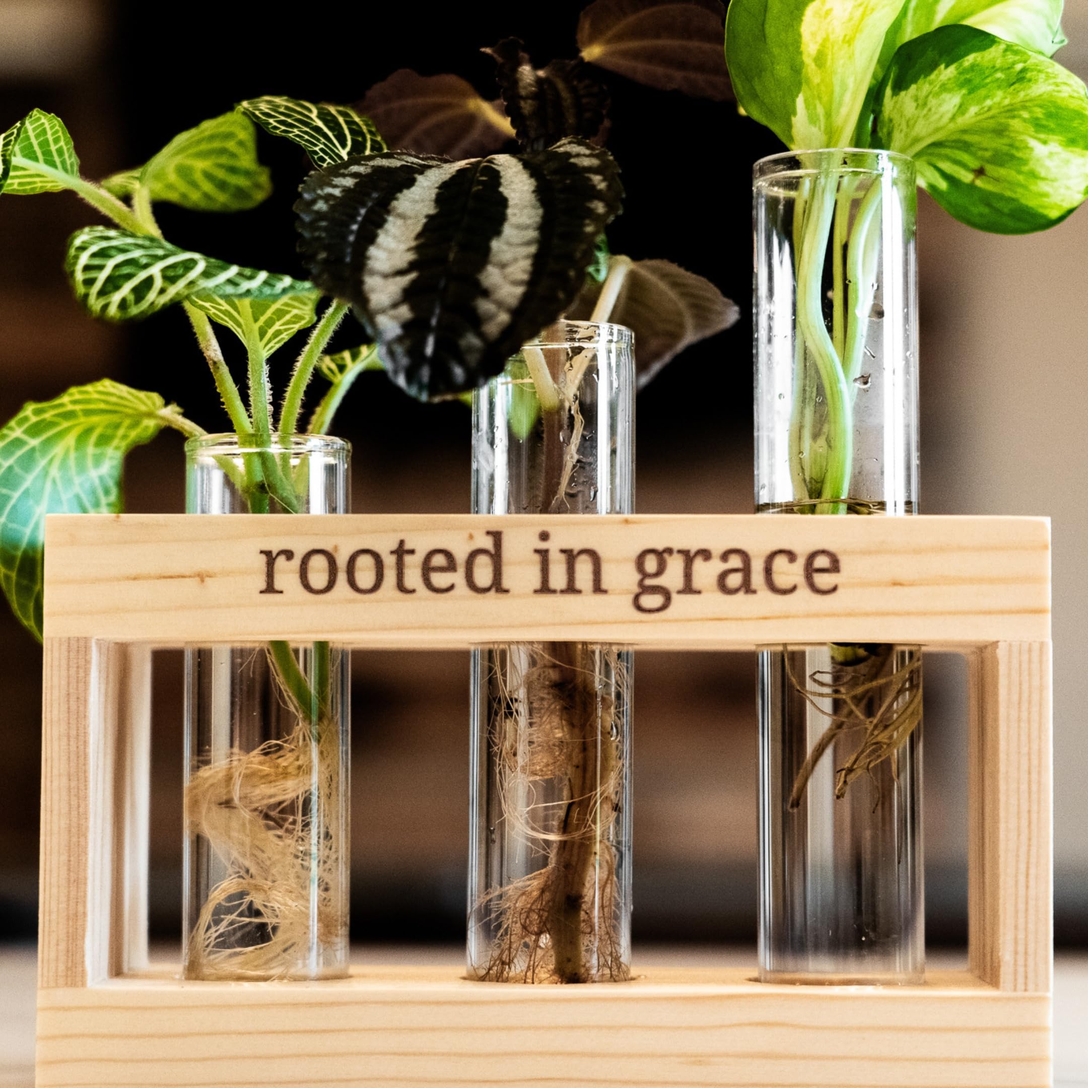 Rooted in Grace: Plant Propagation Station with Glass Vases - Unique Christian Gift Set for Women & Moms, Indoor Planter & Home Decor for Faith-Inspired Living Rooms, Kitchens, or Office Spaces