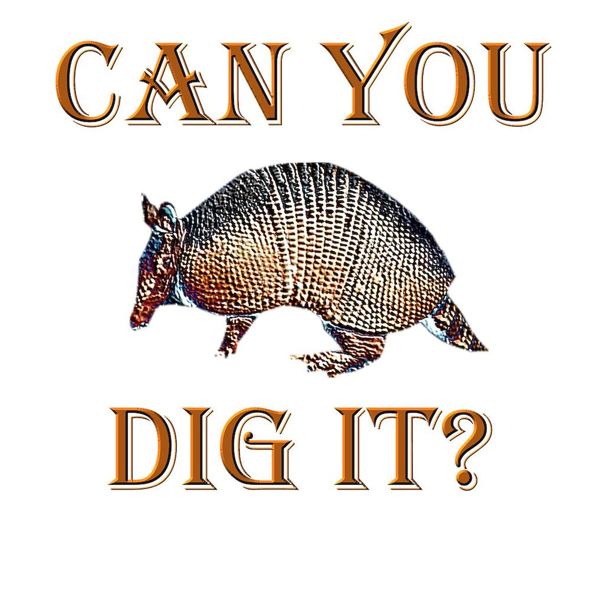 Armadillo Design 11 oz (325 ml) Ceramic Coffee Mug - Funny Novelty Gift for Animal Lovers, Perfect for Home, Office & Camping Use