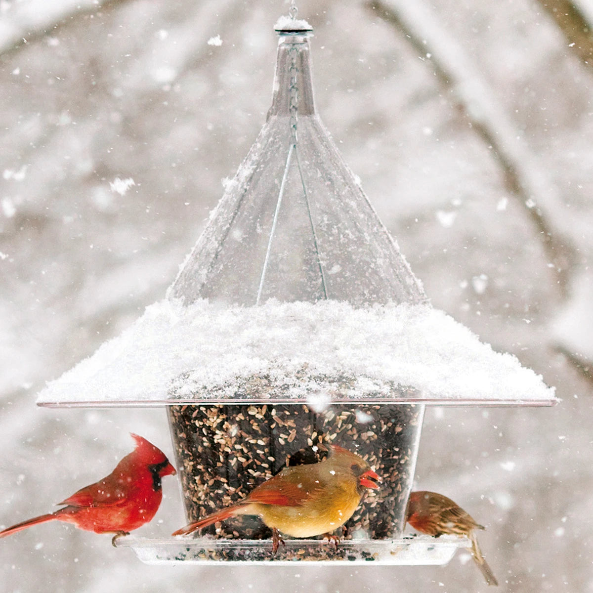 Arundale Sky Cafe Bird Feeder - Premium Outdoor Bird Feeder for Garden, Patio & Backyard - Attract Wild Birds with Durable Hanging Bird Feeder (Great for Bird Watching & Nature Lovers)