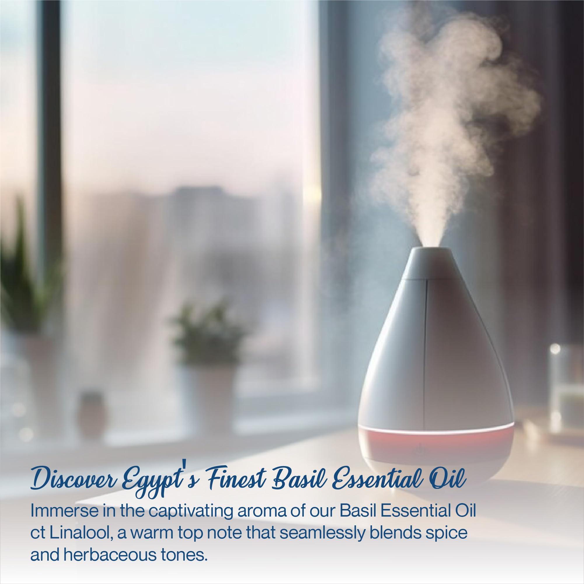 Premium Basil Essential Oil High in Linalool | 100% Pure Aromatherapy Oil for Diffusers, Massage, Skin & Hair Care | DIY Perfume Making & Home Spa Relaxation (10ml) - Perfect for Stress Relief & Mood Enhancement