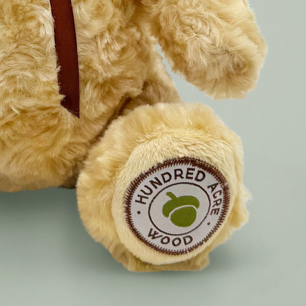 Winnie the Pooh Plush Stuffed Animal with Storybook & Personalized Fleece Blanket Gift Set - Perfect for Baby Showers, Birthdays & Nursery Decor
