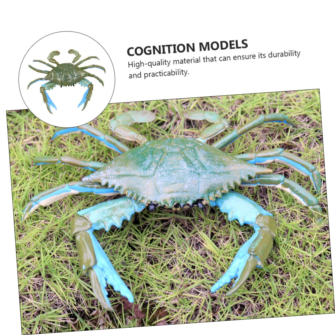 UPKOCH 3 Pack Realistic Crab Toy Set - Lifelike PVC Animal Figures, Educational Bath Toys for Kids, Ocean-Themed Learning & Sensory Play | Perfect for Bathtime Fun, Classroom Activities & Marine Life Exploration