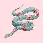 Snake Pink