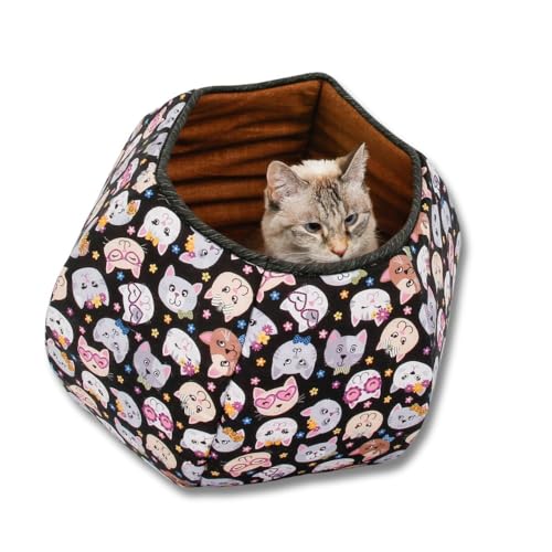 Cartoon Kitty