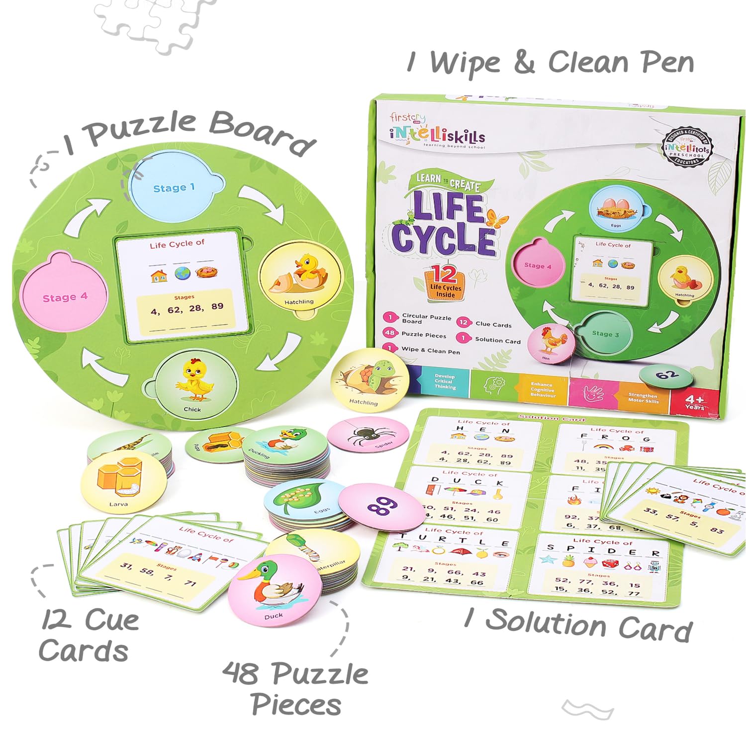 FIRSTCRY INTELLISKILLS Premium 63-Piece Life Cycle Puzzle for Kids - Educational Toy for Learning 12 Birds, Insects & Animals Life Cycles - Montessori Preschool Learning Game for Boys & Girls Ages 3+ | Perfect for Homeschooling, Classroom Activities & Birthday Gifts