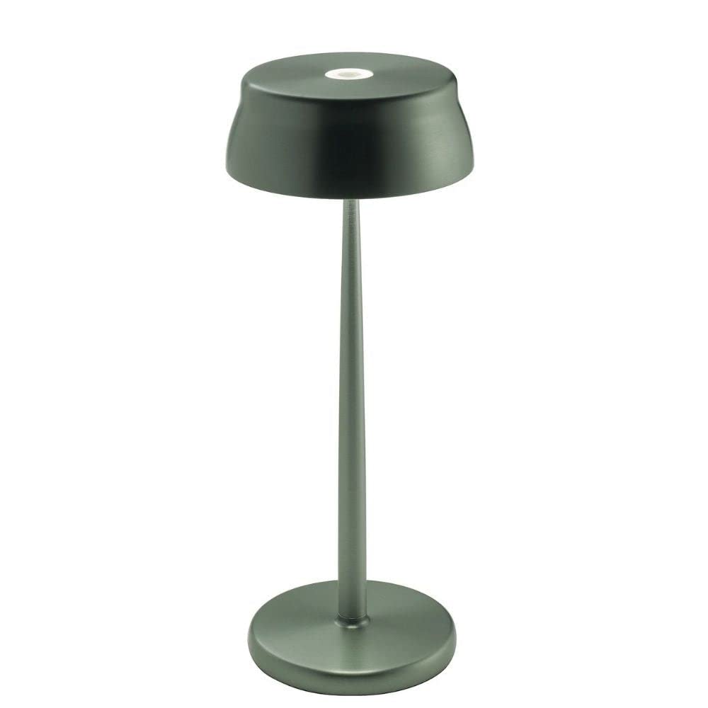 Rechargeable Dimmable LED Table Lamp - Adjustable Brightness for Bedroom, Living Room, Office & Outdoor Use - Modern Anodized Green Finish - Energy Efficient Portable Lighting Solution