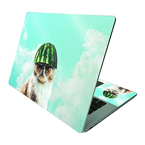 Watermelon Cat Hat
