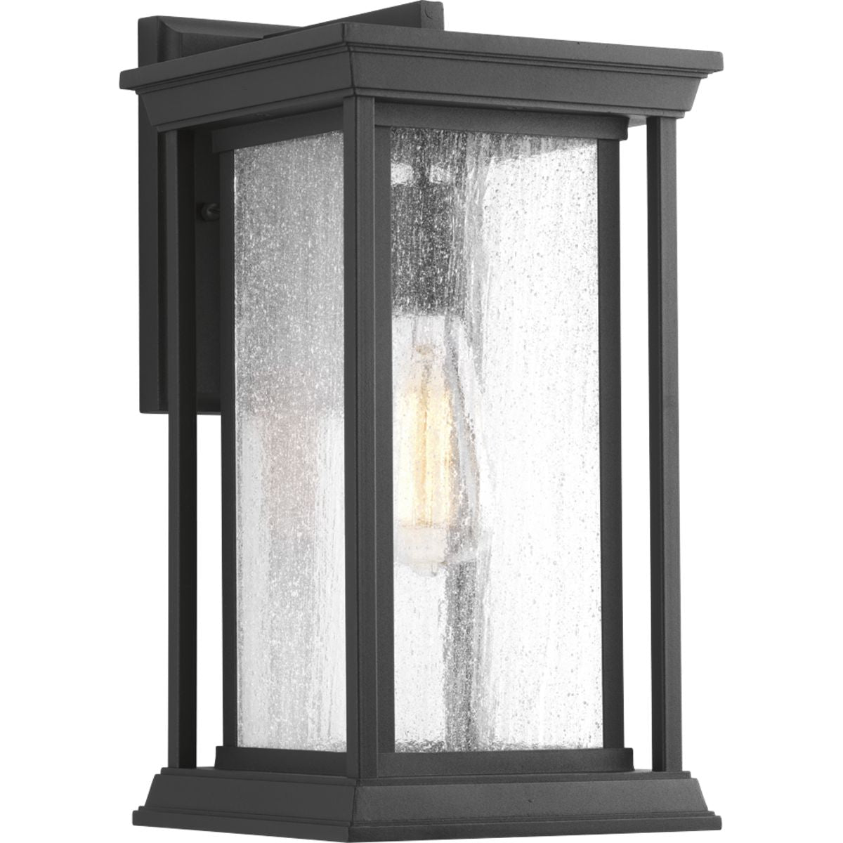 Endicott Collection One Light Medium Wall Lantern - Outdoor Lighting Fixture for Porch, Patio & Garden - Weather Resistant Black Metal Sconce with Clear Glass Shade