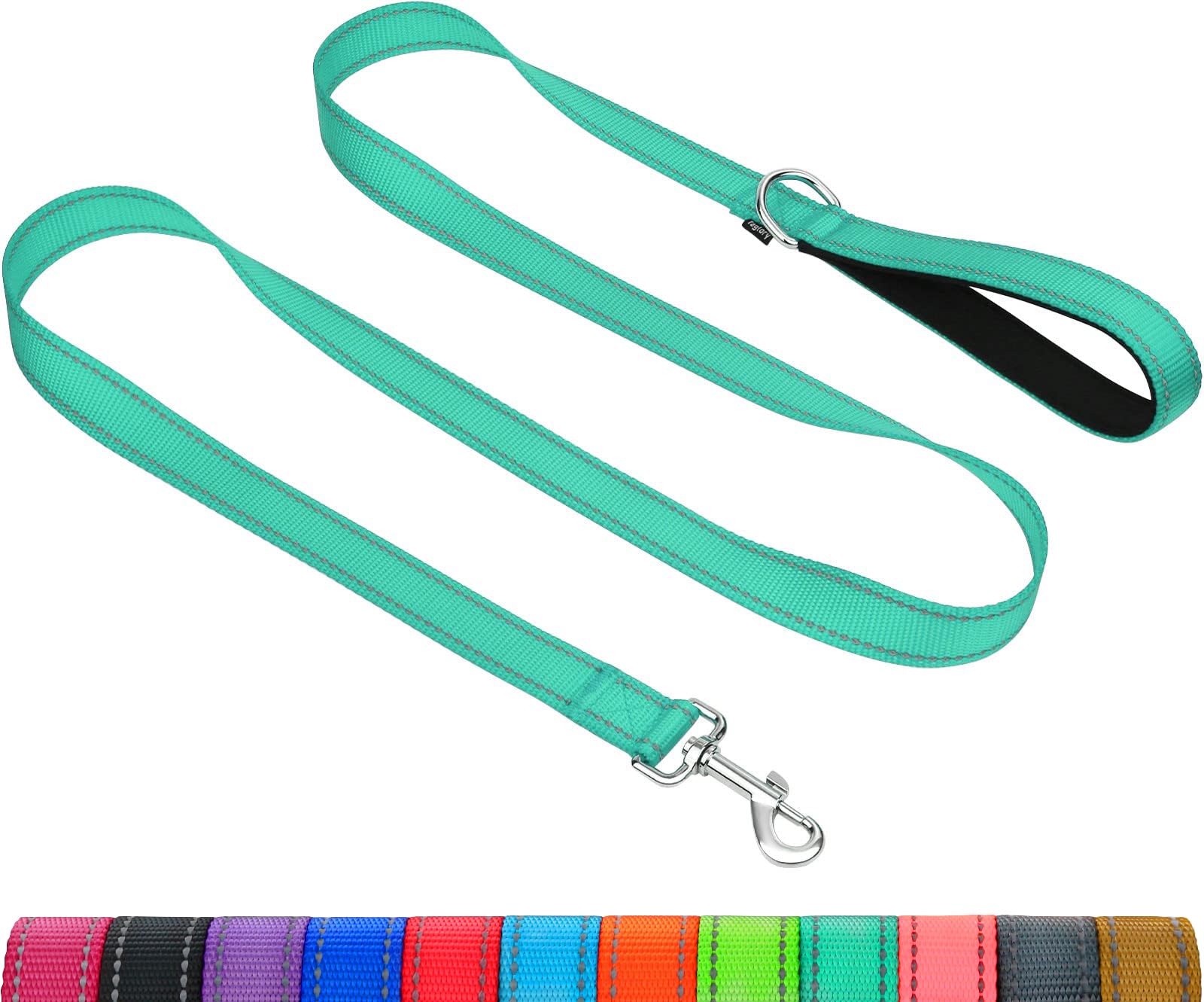 Taglory Reflective Dog Leash for Small Medium Large Dogs Under 20 lbs - 3/4 Inch x 5 ft Neoprene Padded Handle Double-Sided Safety Leash - Perfect for Night Walks, Jogging & Outdoor Adventures (Turquoise)