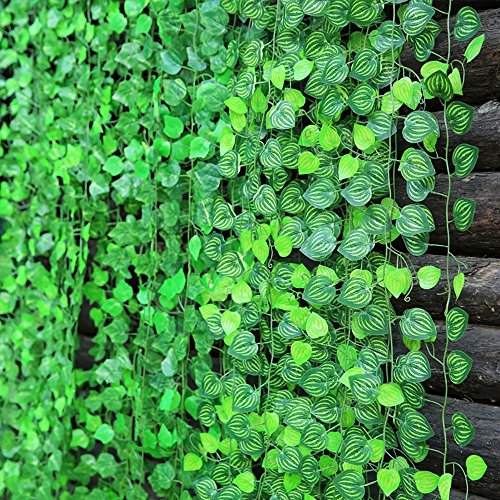 Watermelon Leaves