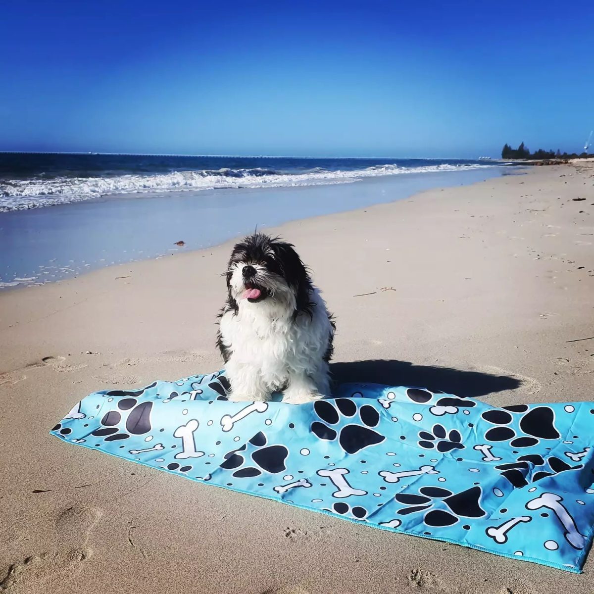 2 Pack Kids Beach Towels - Soft Absorbent Quick Dry Towels for Boys & Girls - Perfect for Pool, Beach, Swimming, and Outdoor Activities