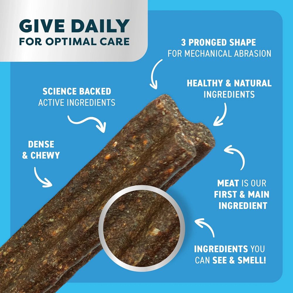 Bell & Bone Natural Lamb with Mint & Manuka Honey Dog Dental Treats - Freshens Breath & Supports Oral Health for Small & Large Dogs - Perfect for Daily Teeth Cleaning & Training Rewards