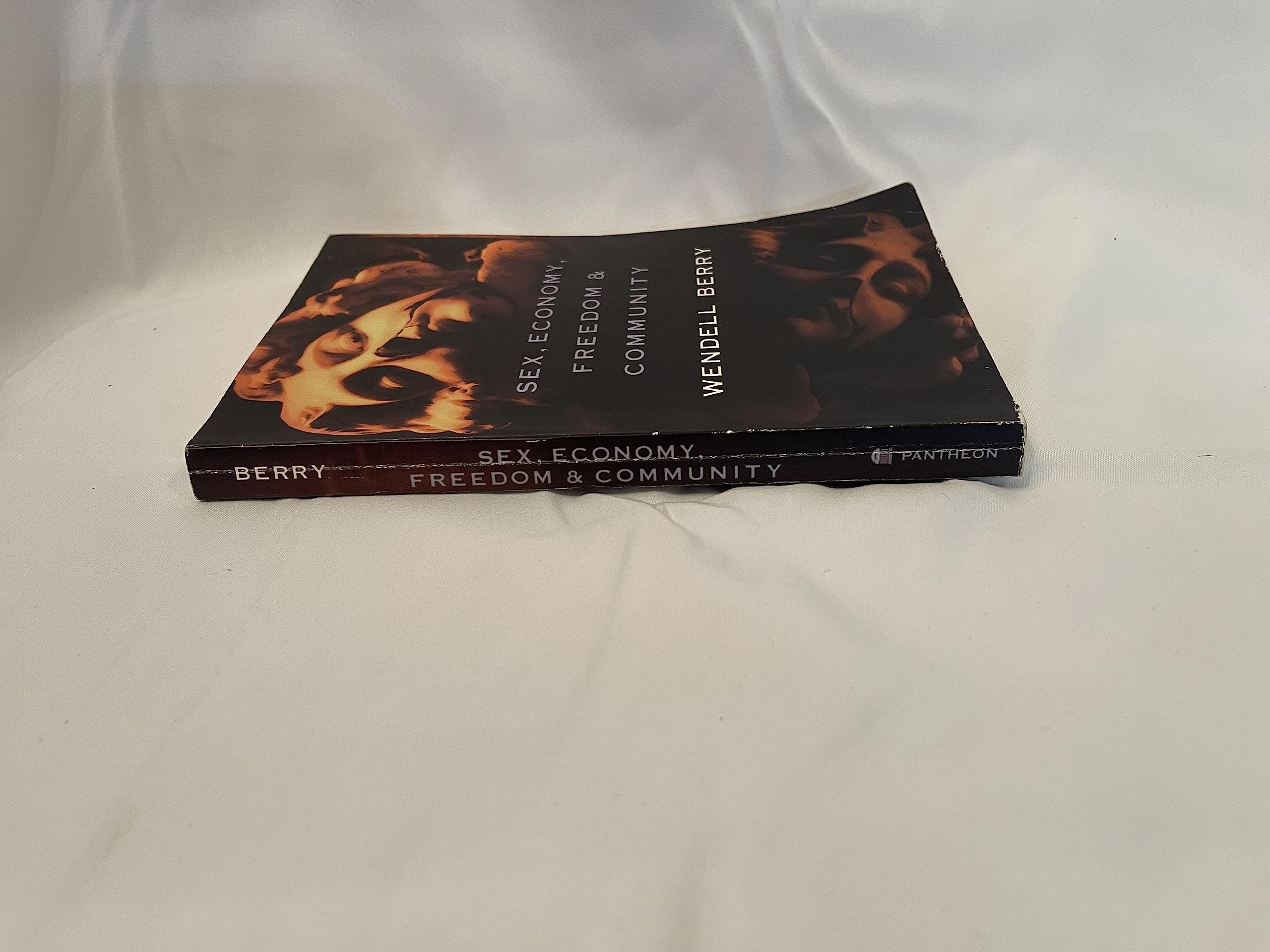 Sex, Economy, Freedom & Community: Eight Thought-Provoking Essays on Modern Society - Perfect for Book Clubs, Academic Discussions & Personal Enlightenment