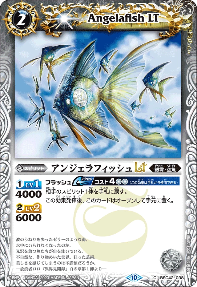 BSC42 038 C Angelafish LT - Premium Aquarium Fish for Home & Office Tanks - Perfect for Beginners & Experienced Fish Keepers