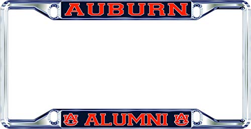 Auburn Tigers Silver