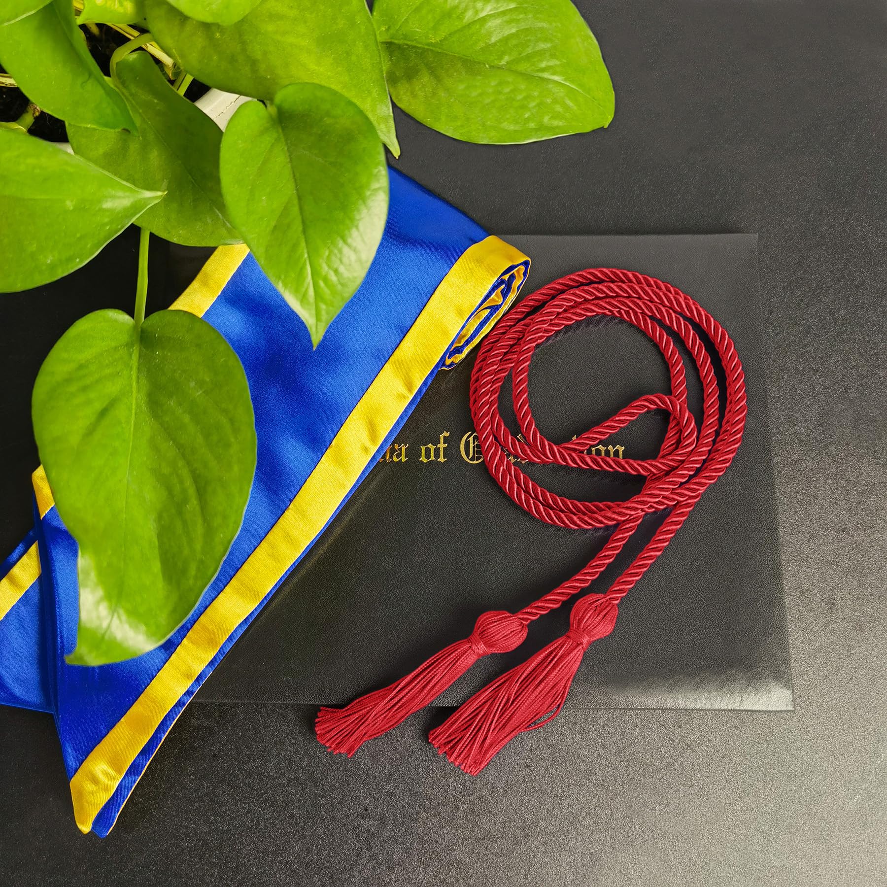 GradPlaza 68'' Graduation Honor Cord with Tassel - Academic Achievement Award, Commencement Accessory for High School & College Graduates - Perfect for Graduation Ceremonies & Photo Sessions